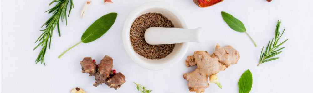 Energie Booster: Vitalstoffe für den Energie Kick Energie Booster: Vitalstoffe für den Energie Kick