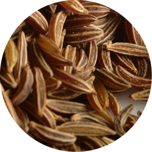 Kümmel
