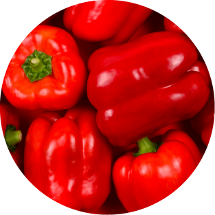 Vitamin B6 & B12