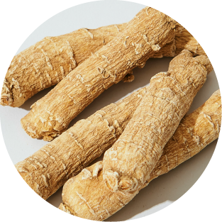 Ginseng