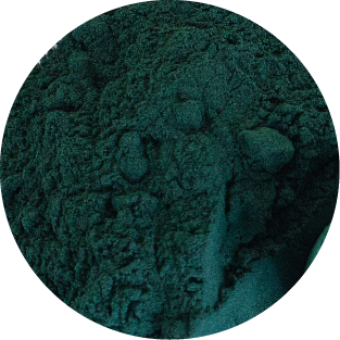 Spirulina