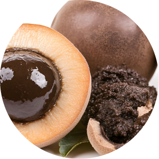 Mönchsfrucht-Dekokt