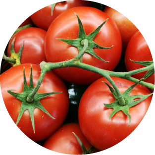Vitamine E + B2