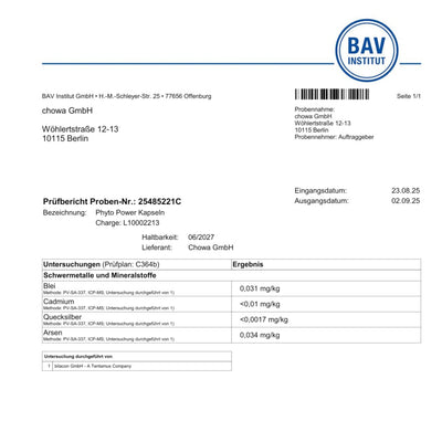 Phyto Power Kapseln