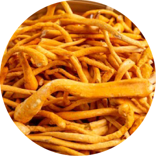 Cordyceps