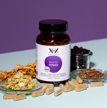 Phyto Power Kapseln